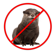 You are not an animal